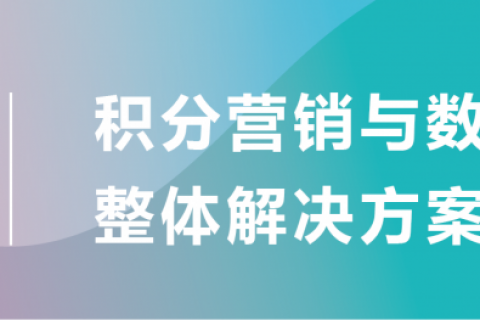 银行积分营销案例解析